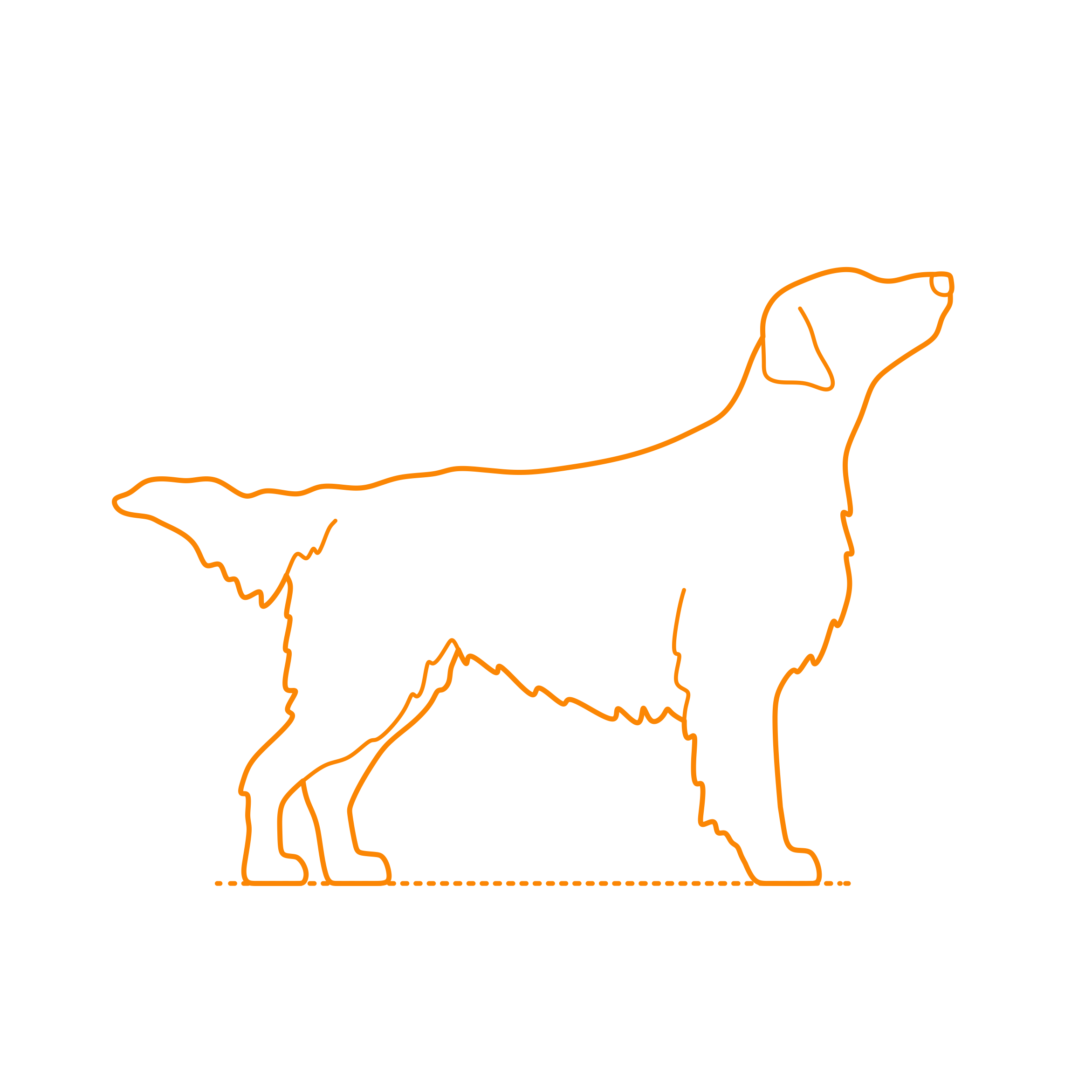 Animals Dogs Flat Coated Retriever Outline Svg Vector Free Vectors